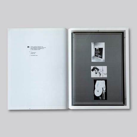 Joseph Beuys / ARENA—WHERE WOULD I HAVE GOT IF I HAD BEEN INTELLIGENT!