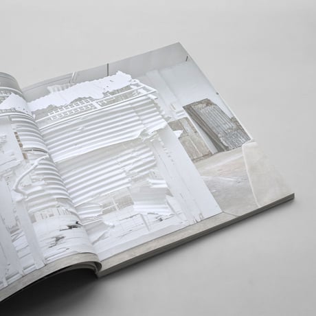 Rachel Whiteread / Internal Objects