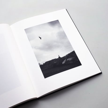 Bernard Plossu / Des Oiseaux