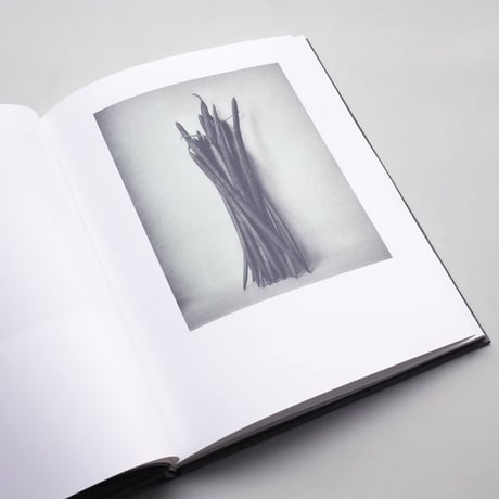 Inger Krauss / 39 Bilder