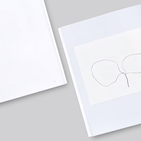 Ellsworth Kelly / Plant Lithographs