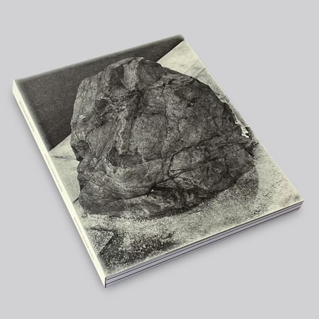 Petra Noordkamp / Better not Move