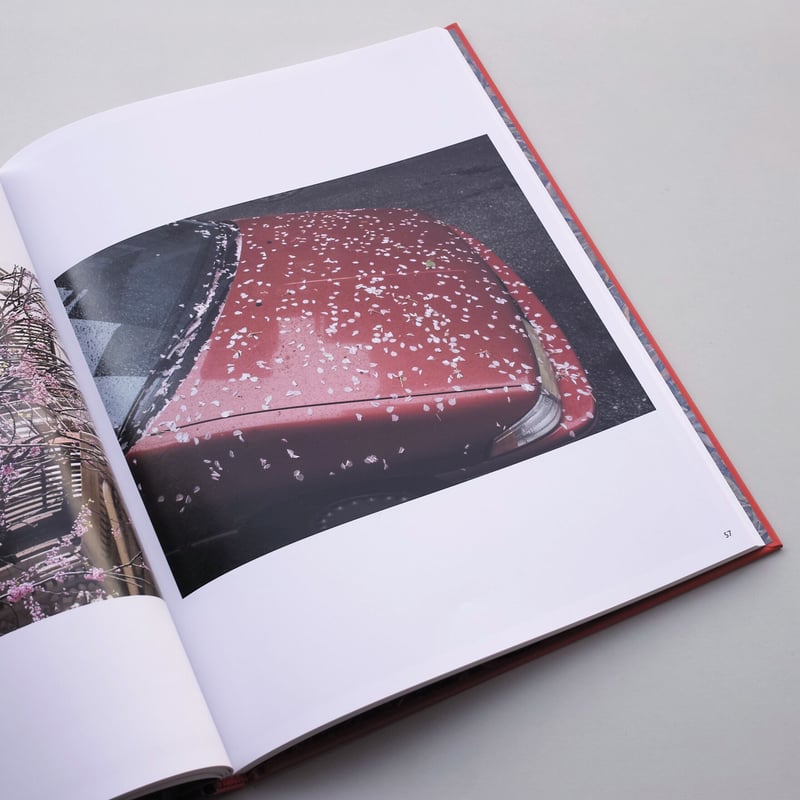 アート・デザイン・音楽 Joel Meyerowitz / Wild Flowers Amazon | Wild Flowers | Meyerowitz, Joel, Barrett, Maggie