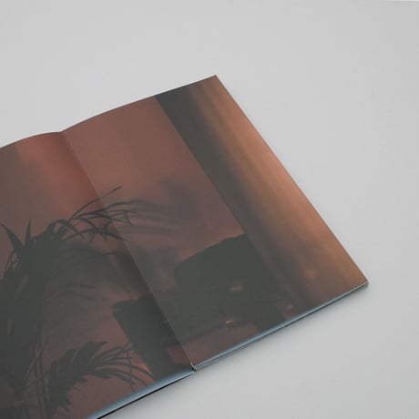 Peter Dekens / Touch