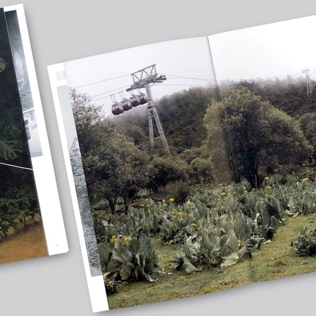 Oriane Thomasson / Paradis