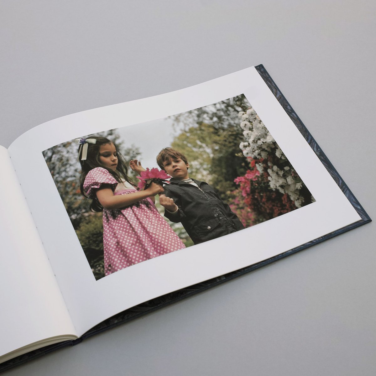 【William Eggleston：Morals of Vision】★★新品 Morals of Vision by William Eggleston