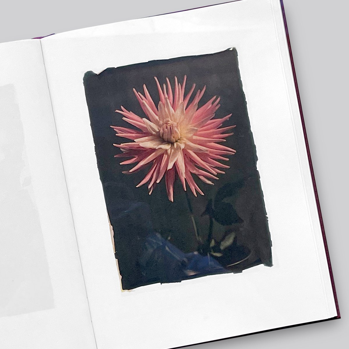 LEENDERT BLOK / LES EXTRAVAGANTES | POST