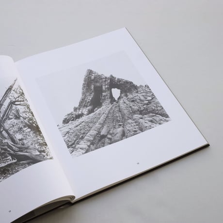 Klaus Merkel / Trees like Stones