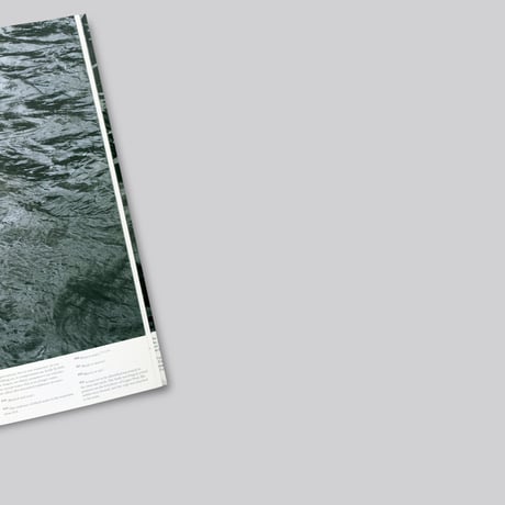 Roni Horn / Another Water
