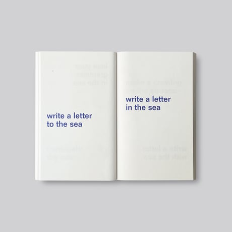 【Signed】David Horvitz / Adjust the level of the sea