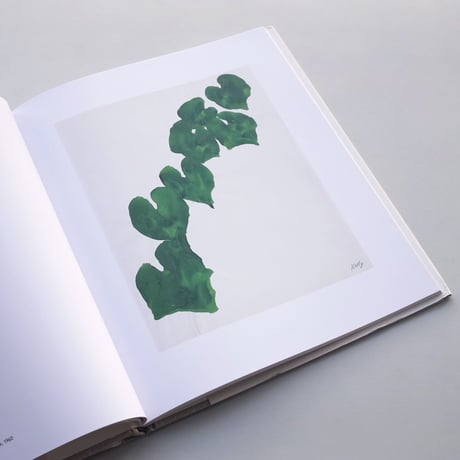 Ellsworth Kelly / Plant Drawings