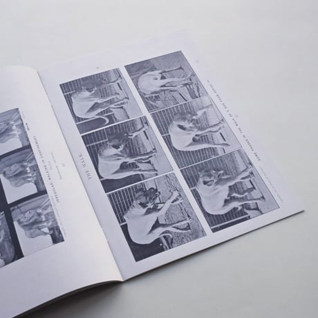 Nicolò Degiorgis / The Long 19th Century Digested Vol. I