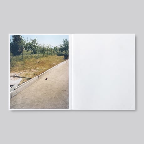 Matteo Di Giovanni / True Places Never Are