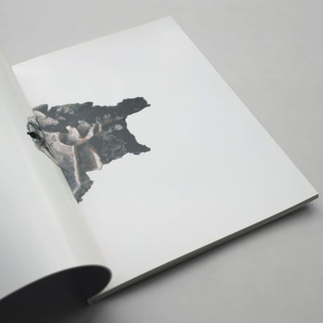 Takashi Homma / SCANDINAVIAN MUSHROOM