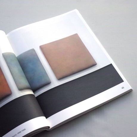 Gotthard Graubner / Mit den Bildern atmen / Breathing with the Paintings