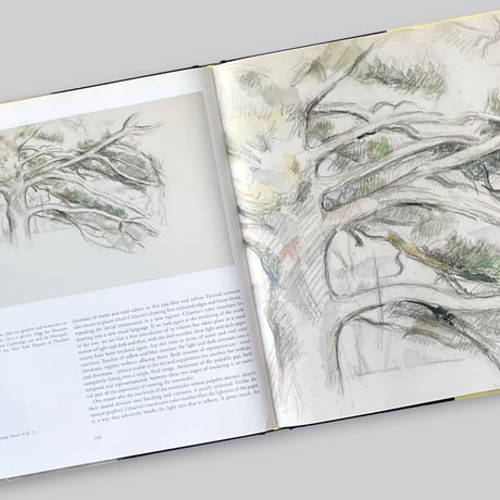 【古書】Paul Cezanne / Cezanne's Watercolors Between Drawing and Painting