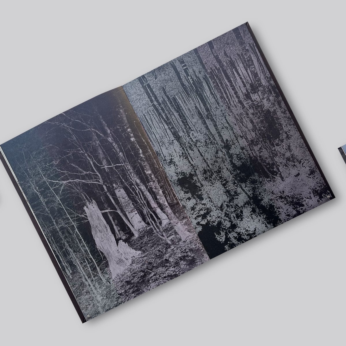 Timothy Prus / Gone | POST