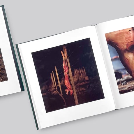 Alessandra Sanguinetti / ON THE SIXTH DAY[SIGNED]