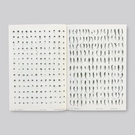 Anne Geene / Book of Plants (Second Edition)