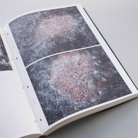 Sibylle Eimermacher / A Guide Through Hue