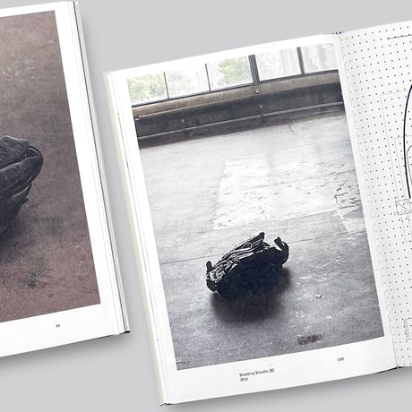 Nina Canell / Reflexologies