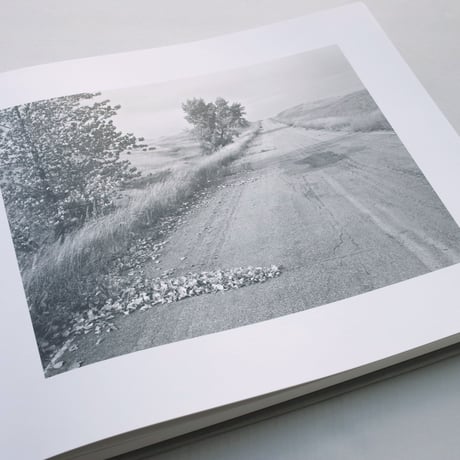 Robert Adams / From the Missouri West