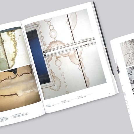 Lizan Freijsen / The Living Surface - An Alternative Biology Book On Stains