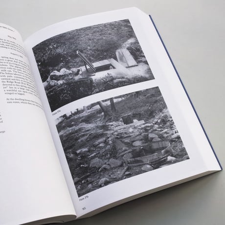 Stanley Greenberg / Springs and Wells, Manhattan and the Bronx