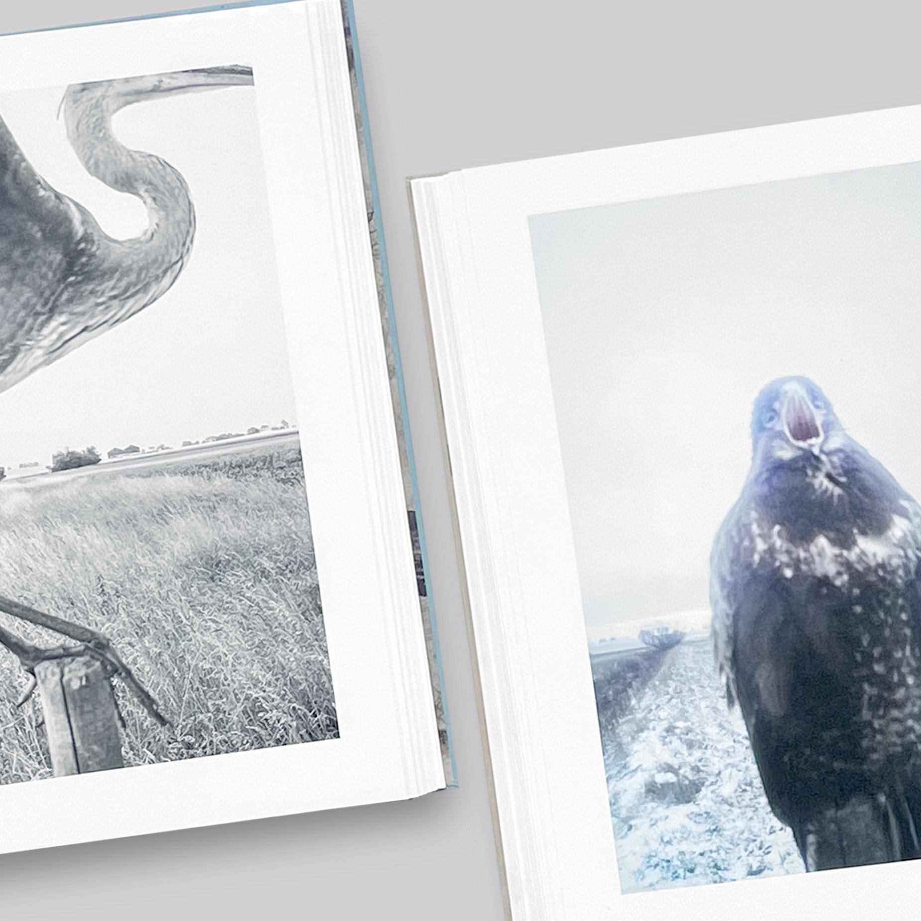Stephen Gill / The Pillar | POST