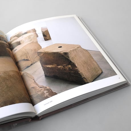 Rainer Crone, Alexandra Von Stosch / Anish Kapoor: Svayambh