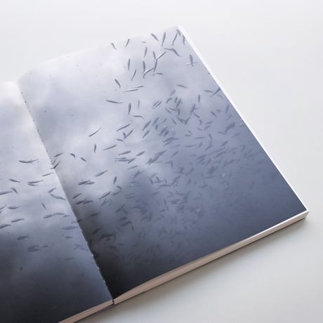 Nicolas Floc'h / Invisible