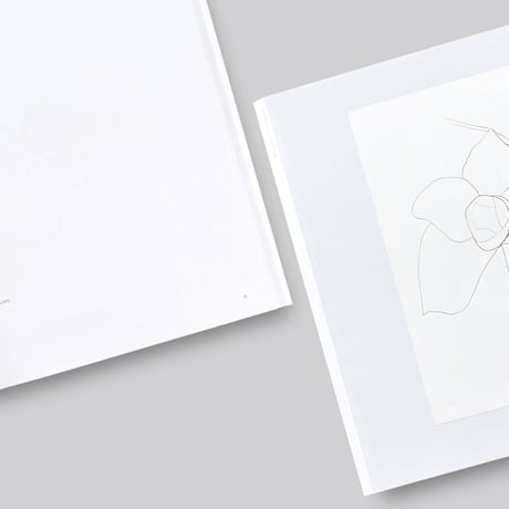 Ellsworth Kelly / Plant Lithographs