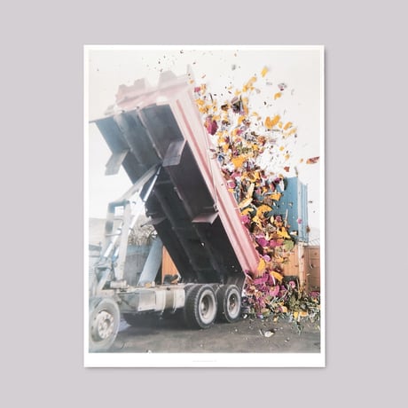 Stephen Gill / Hackney Flowers - Large Poster