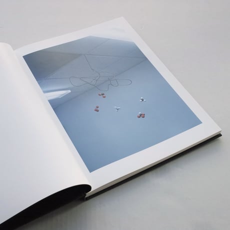 Guillaume Simoneau / Experimental Lake