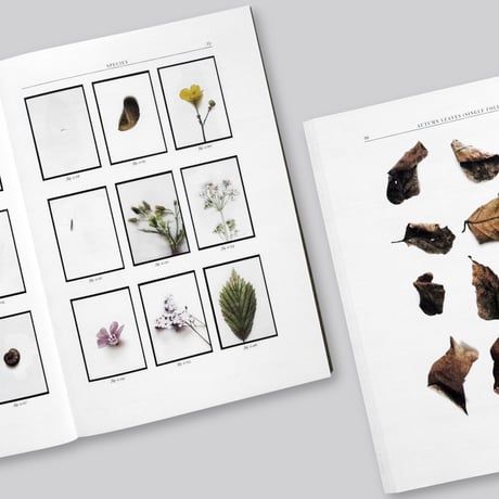 Anne Geene / No.235 Encyclopaedia of an Allotment