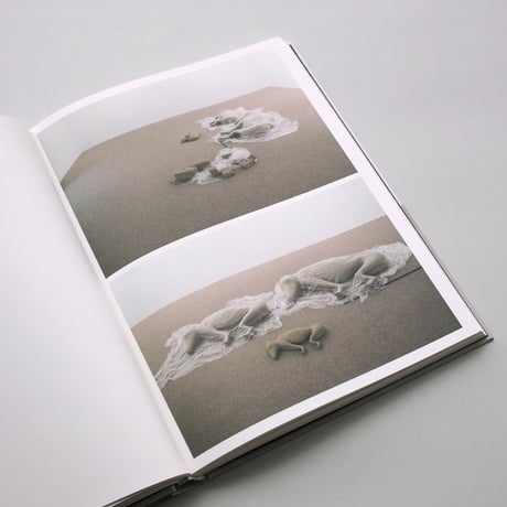 Mark Manders / Parallel Occurrences, Documented Assignments