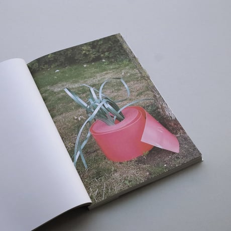 Sara Bjarland / Groundwork