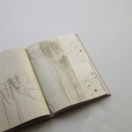 Jeroen Lutters / Cy Twombly's Quattro Stagioni. Studies In Art-Based Learning