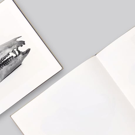Irving Penn / Cranium Architecture