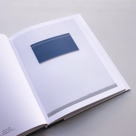 Anne Truitt / Paintings