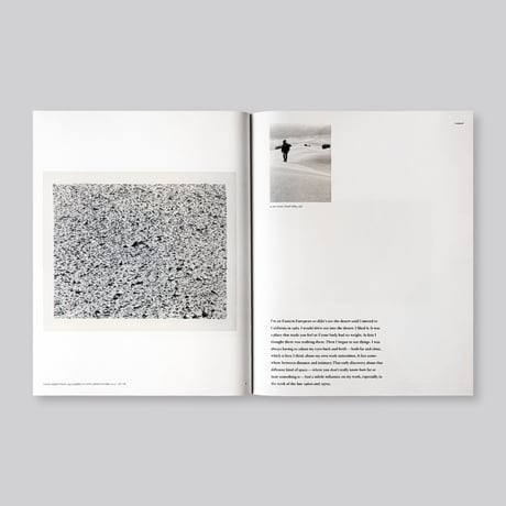 Vija Celmins
