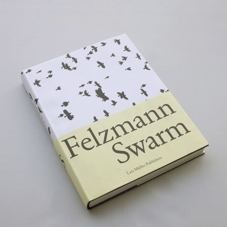 Lukas Felzmann / Swarm