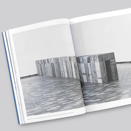 Carl Andre / Sculpture as Place 1958-2010 (Paperback)