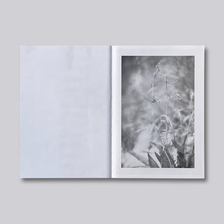 Jochen Lempert / Local Ecology – Moulin des Ribes