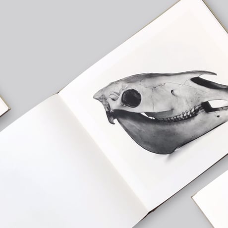 Irving Penn / Cranium Architecture