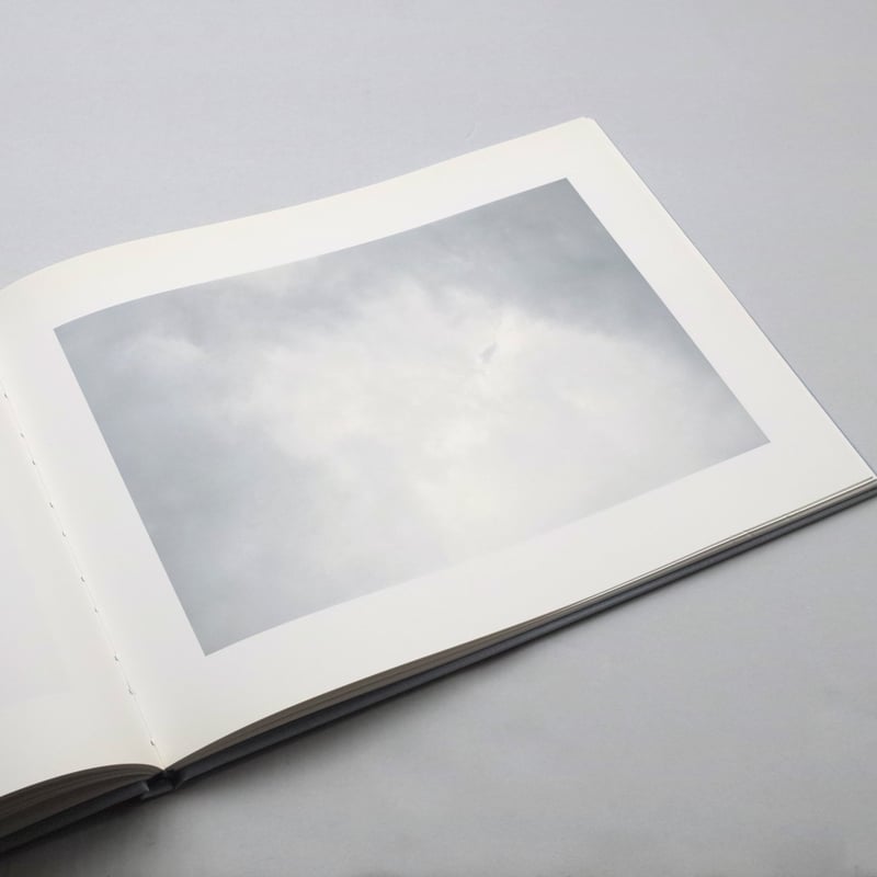 William Eggleston / At Zenith | POST