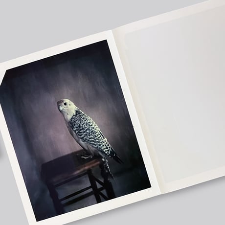 Paolo Roversi / Des oiseaux
