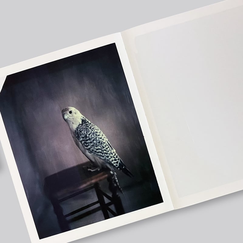 Paolo Roversi / Des oiseaux | POST