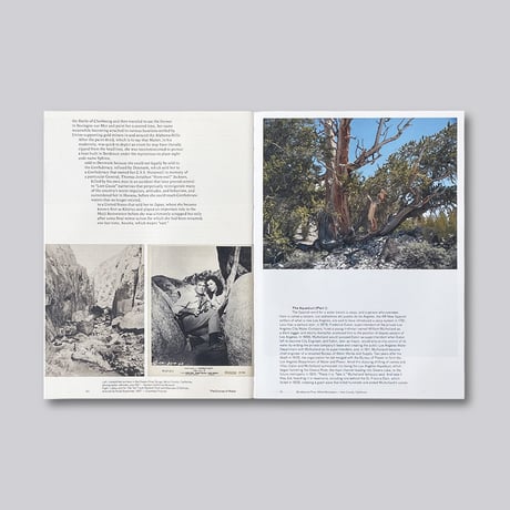 Todd Stewart, Robert Bailey / The Course of Water – Fieldnotes from California's Owens Valley