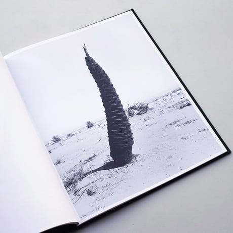 Sybren Vanoverberghe / Conference of The Birds
